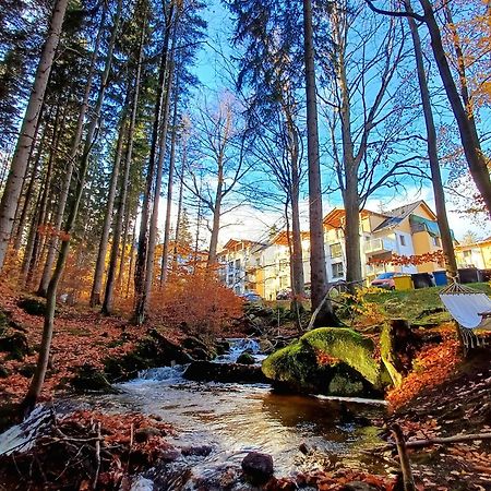 Apartamenty Nad Zlotym Potokiem Шклярска Поремба Екстериор снимка